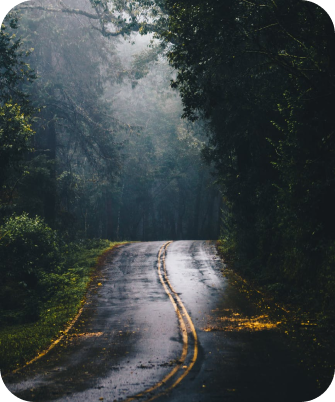 road in forest after rain