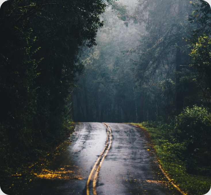 road in forest after rain